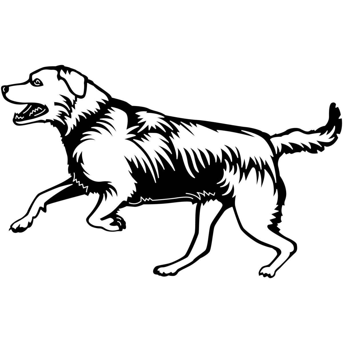 Labrador Retrievers Dogs 17