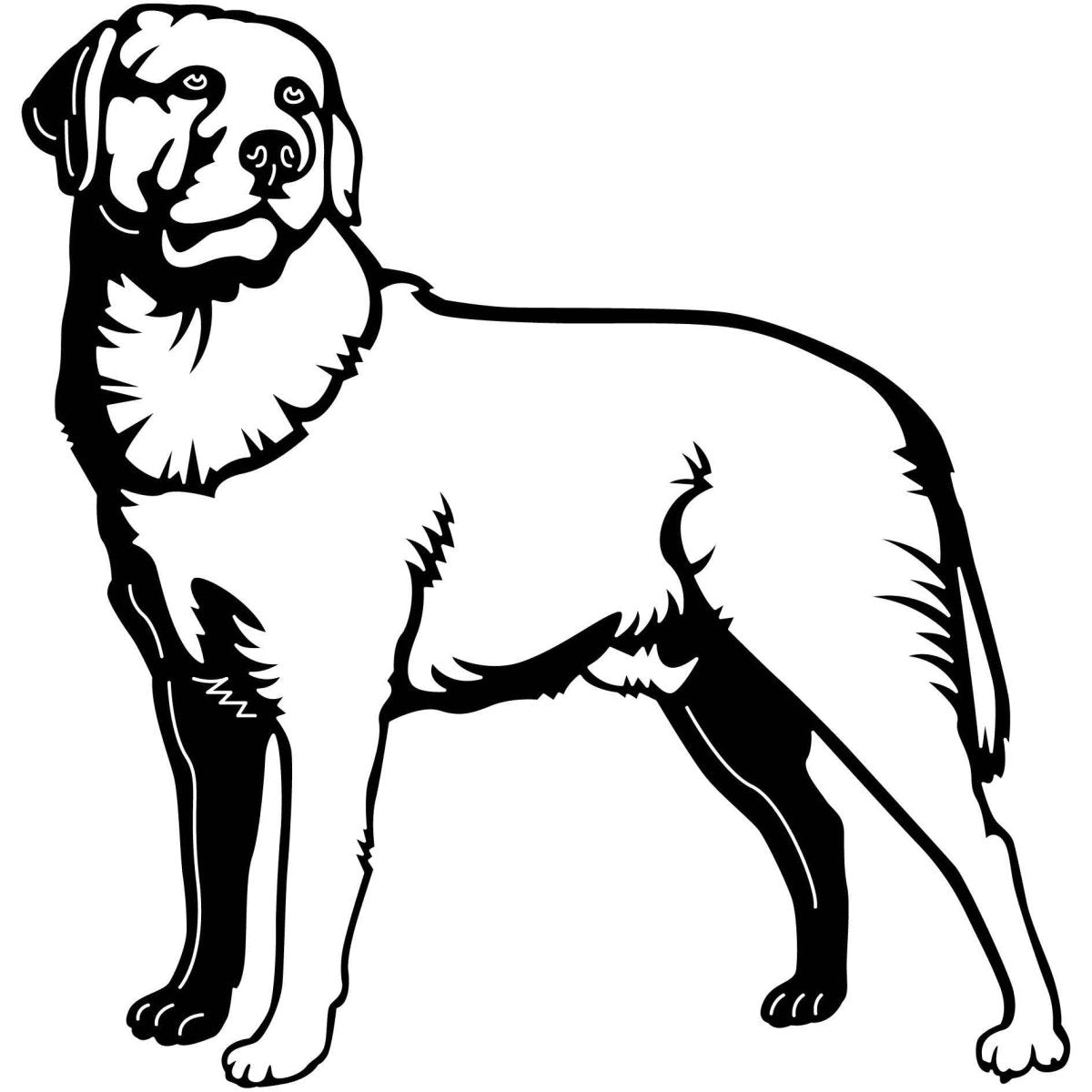 Labrador Retrievers Dogs 22