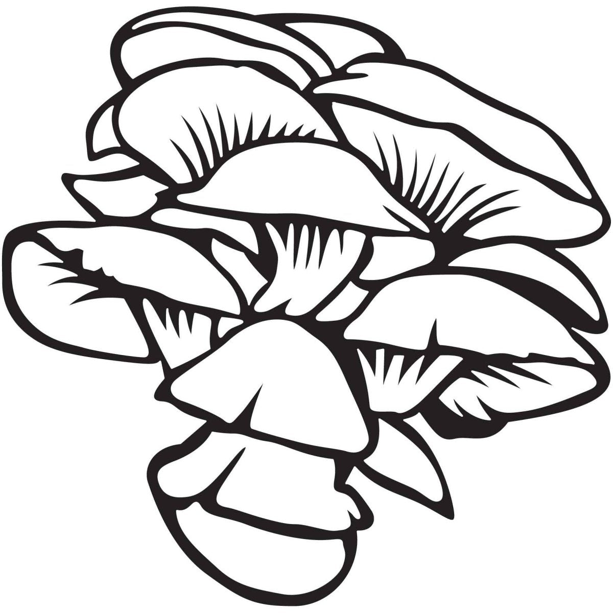 Mushroom 33