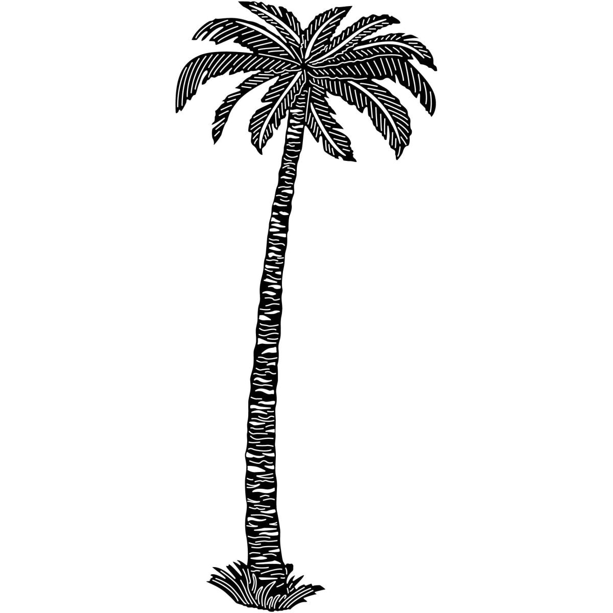 Palm Trees 12