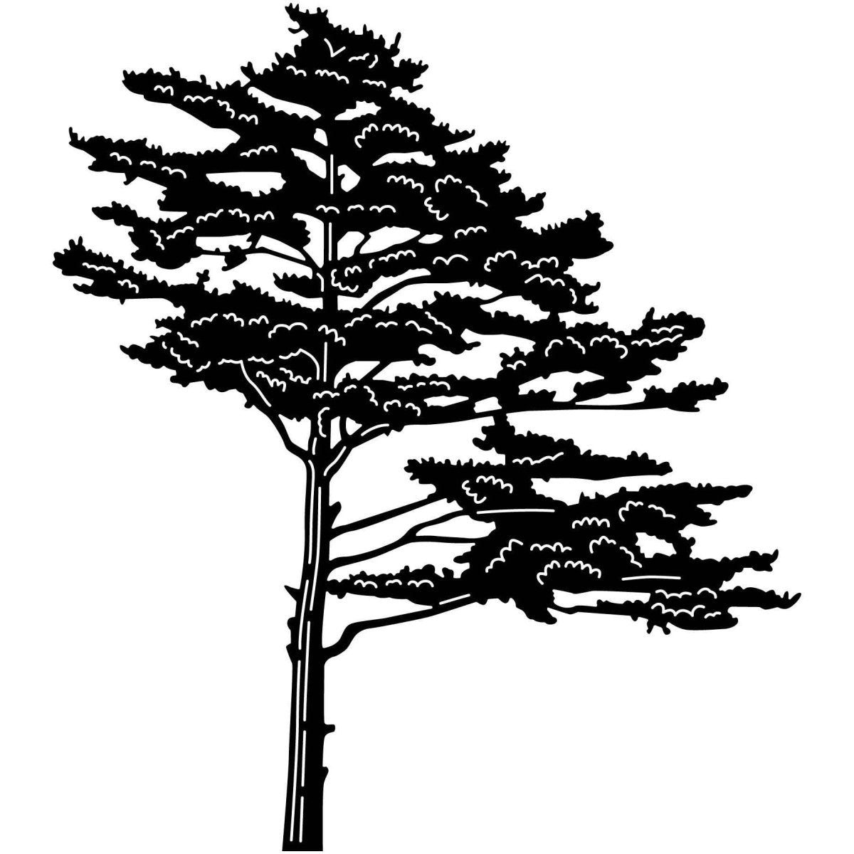 Pine Tree 02