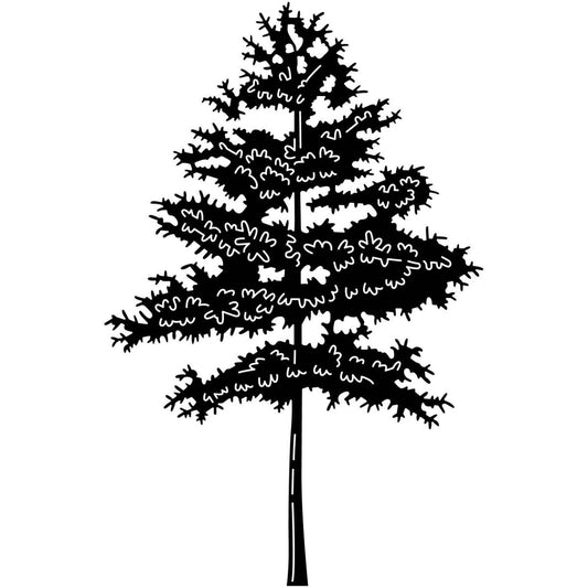 Pine Tree 05