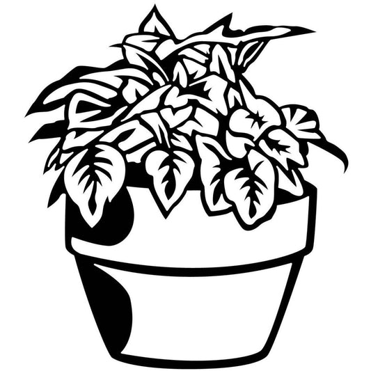 Plant Pots 44