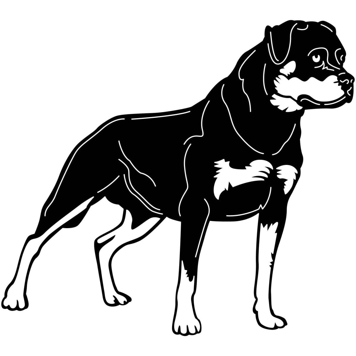 Rottweiler Dogs 14