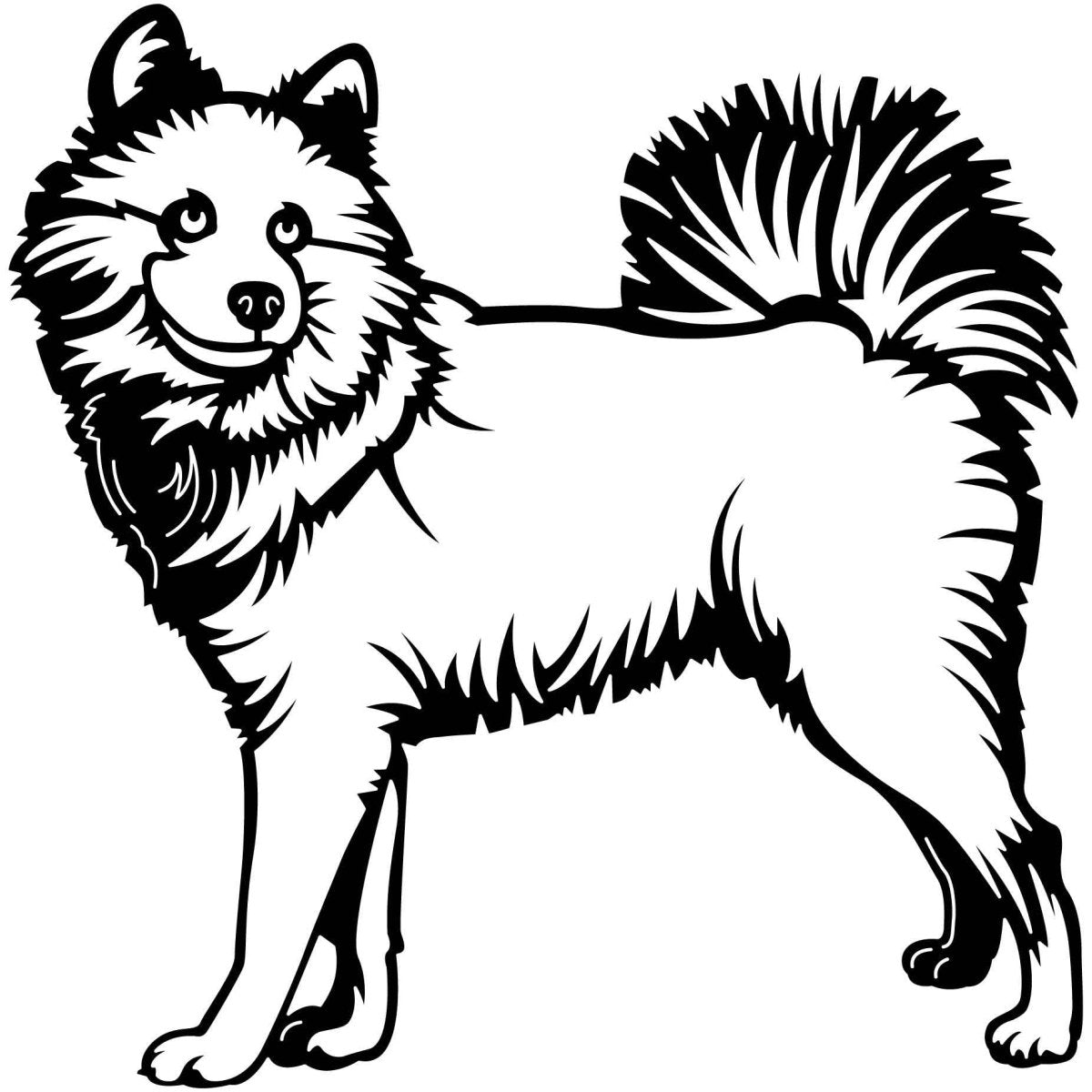 Samoyed Dogs 03