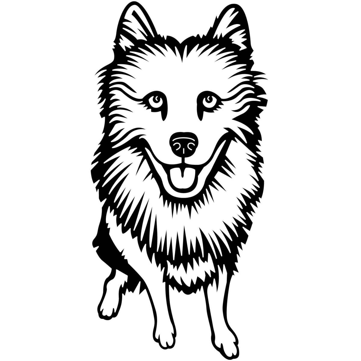 Samoyed Dogs 05