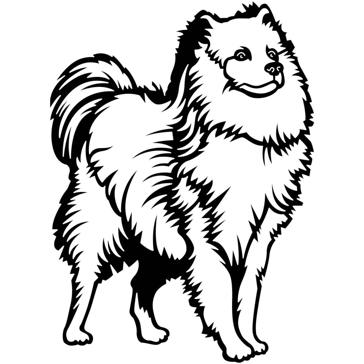 Samoyed Dogs 06