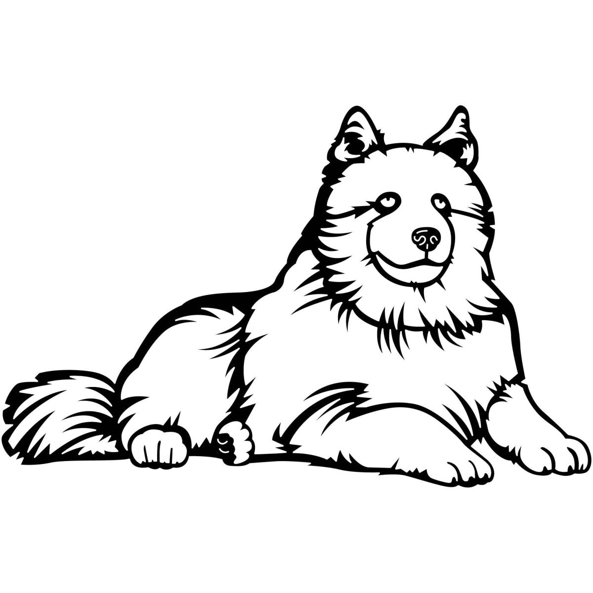 Samoyed Dogs 08