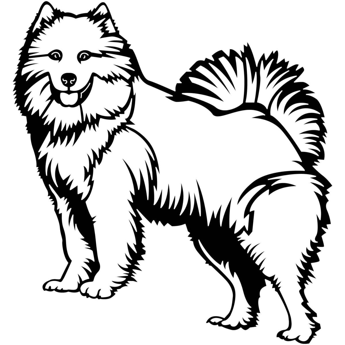 Samoyed Dogs 09