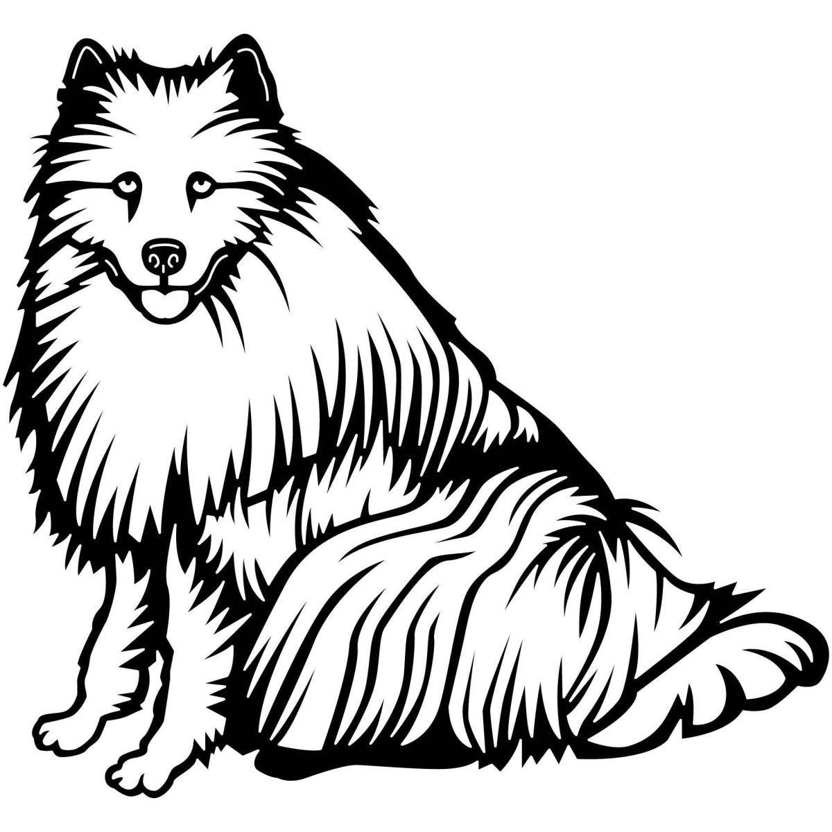 Samoyed Dogs 10