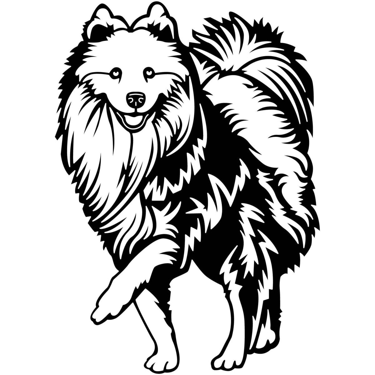 Samoyed Dogs 12