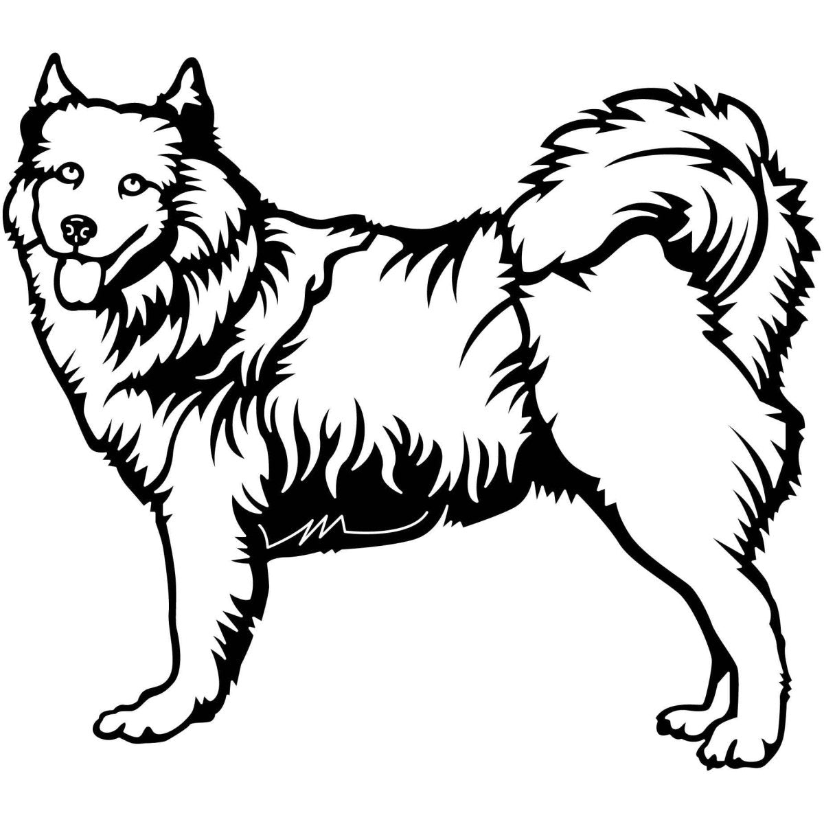 Samoyed Dogs 15