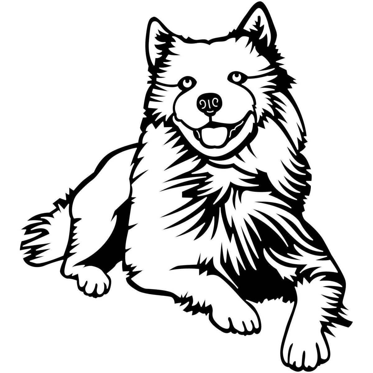 Samoyed Dogs 17