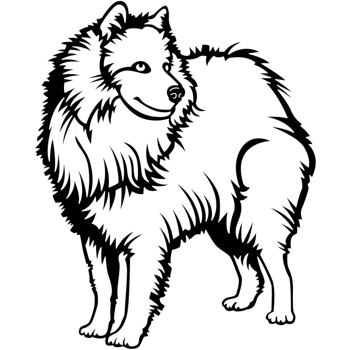 Samoyed Dogs 19