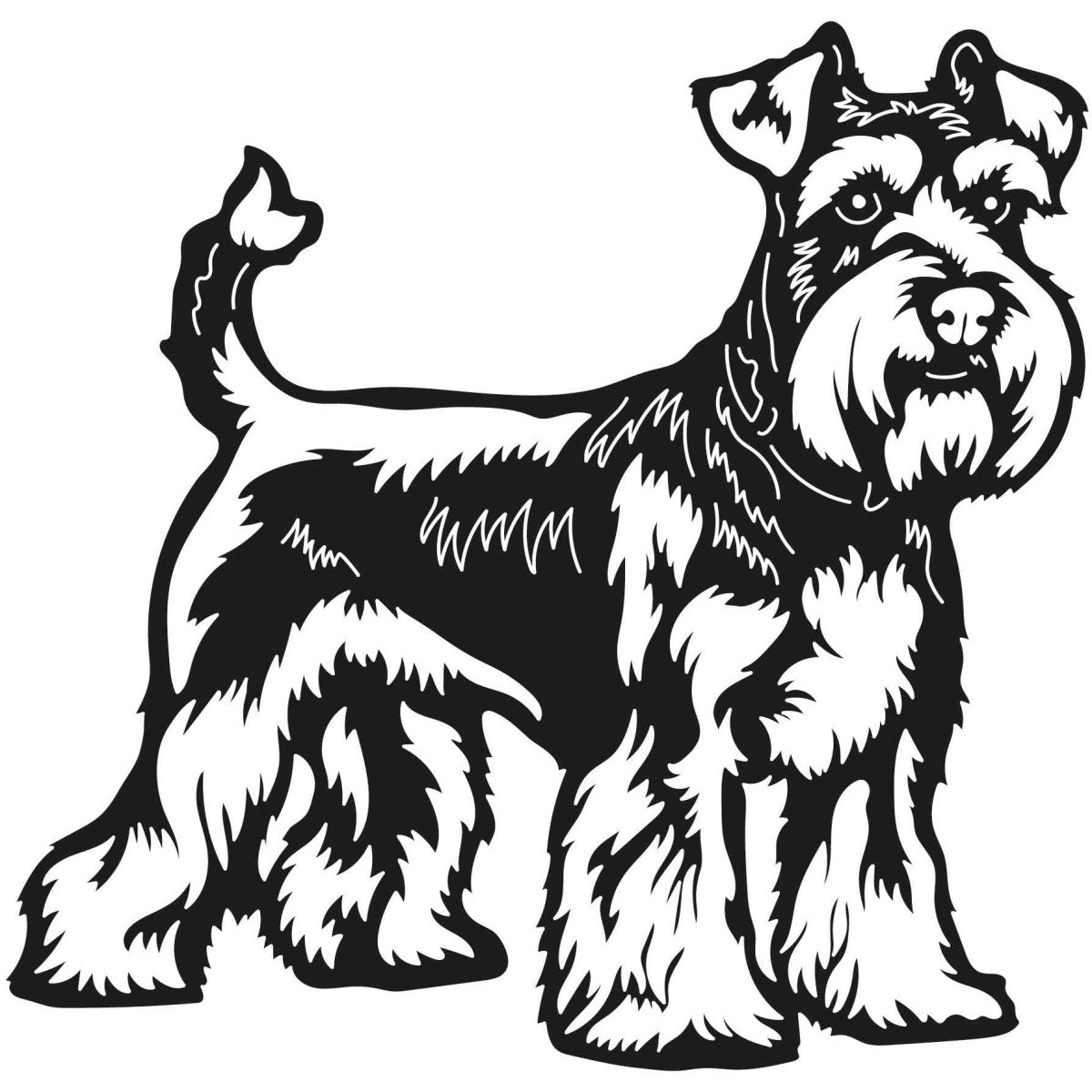 Schnauzer Dogs 02