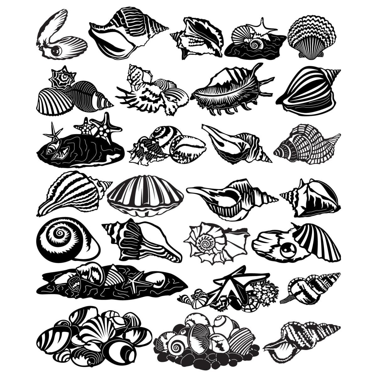 Seashells -DXF files Cut Ready for CNC-DXFforCNC.com