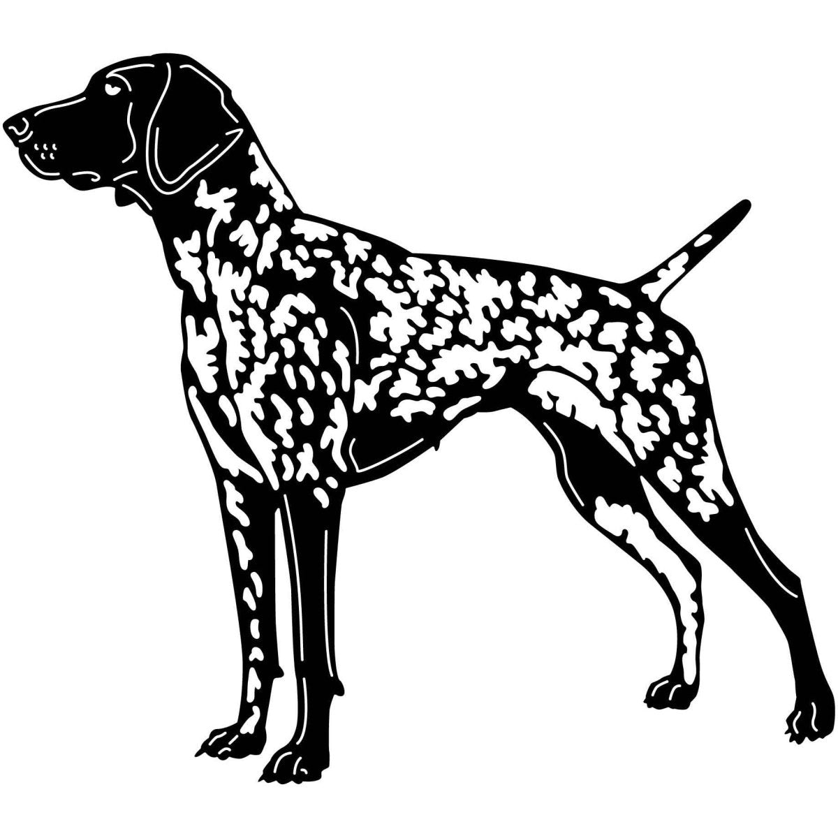 Shorthaired Pointers Dogs 10