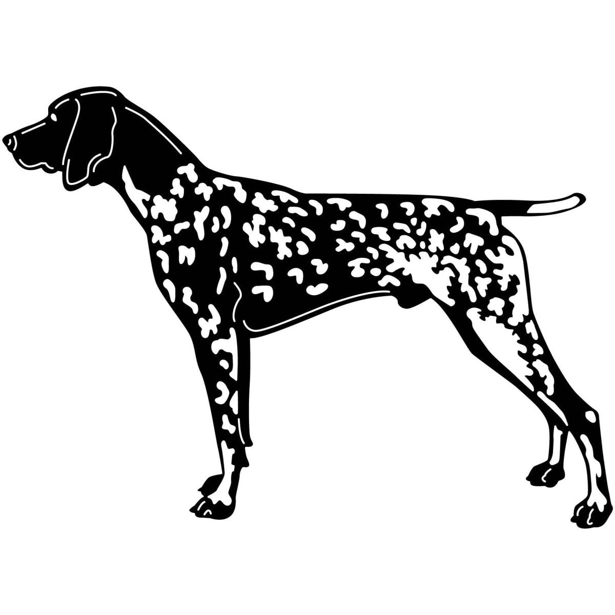 Shorthaired Pointers Dogs 13