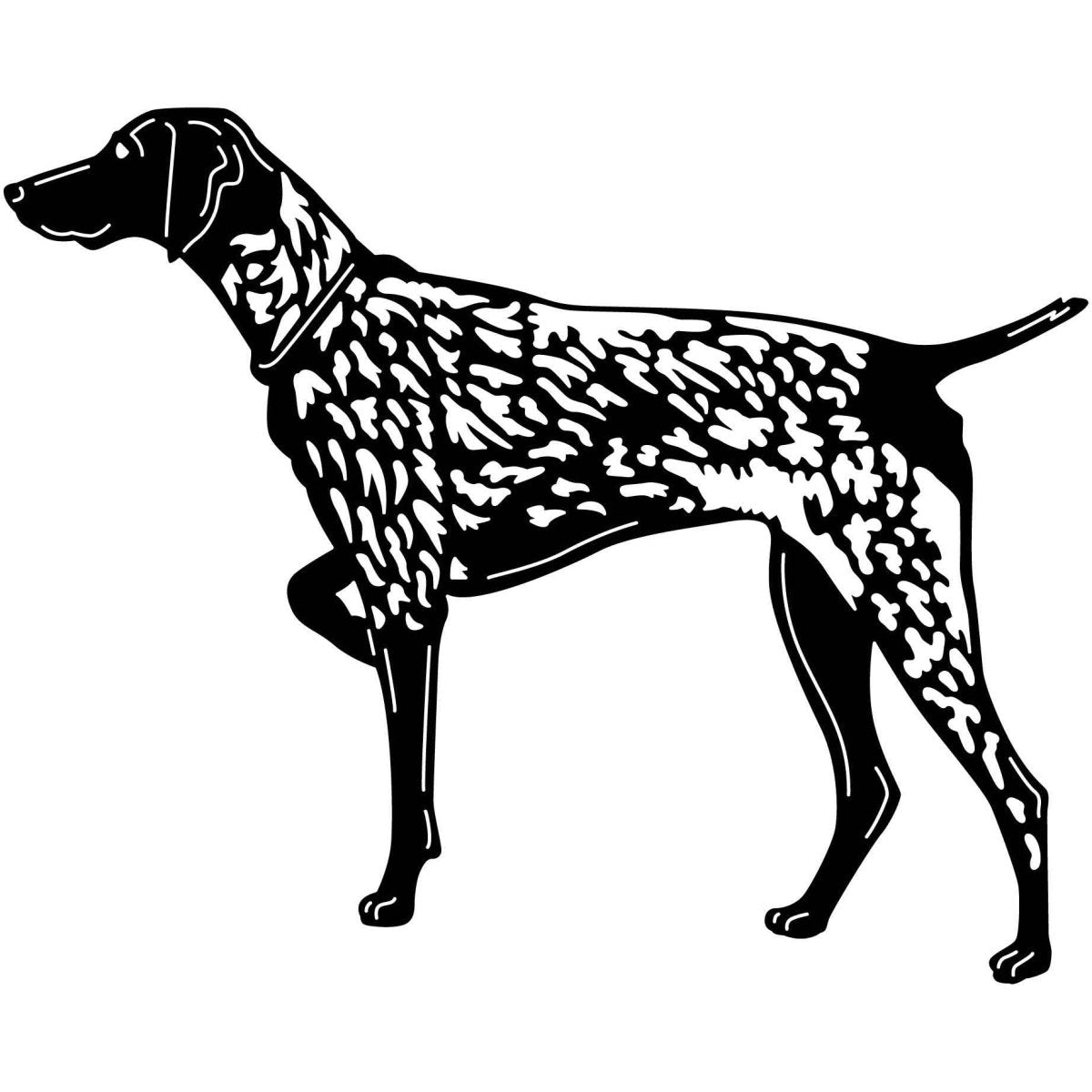 Shorthaired Pointers Dogs 16