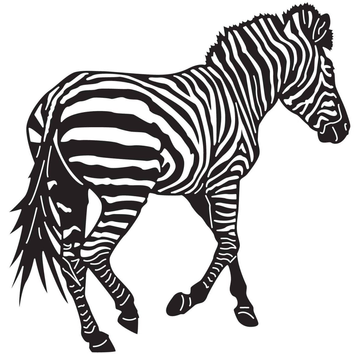 Zebra 38