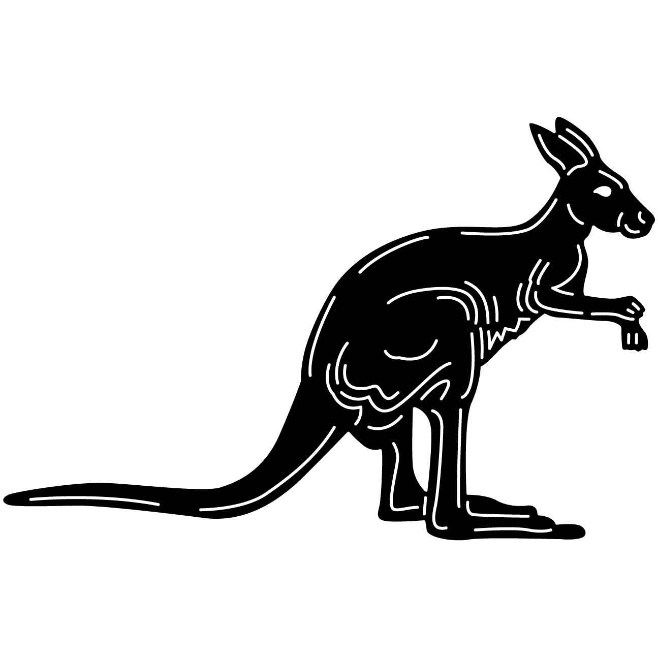 Australian Kangaroo 08