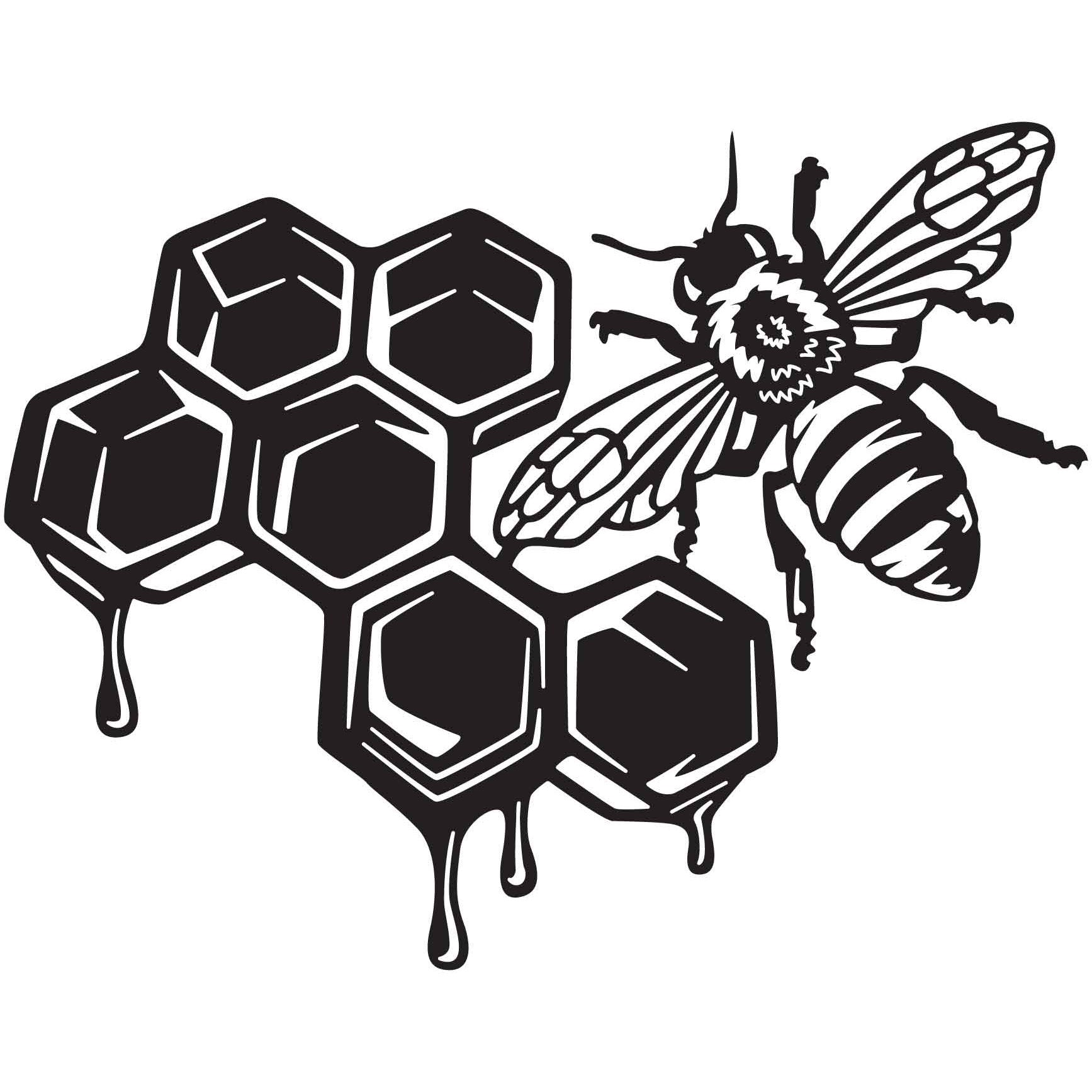 Bees and Honeycomb 11