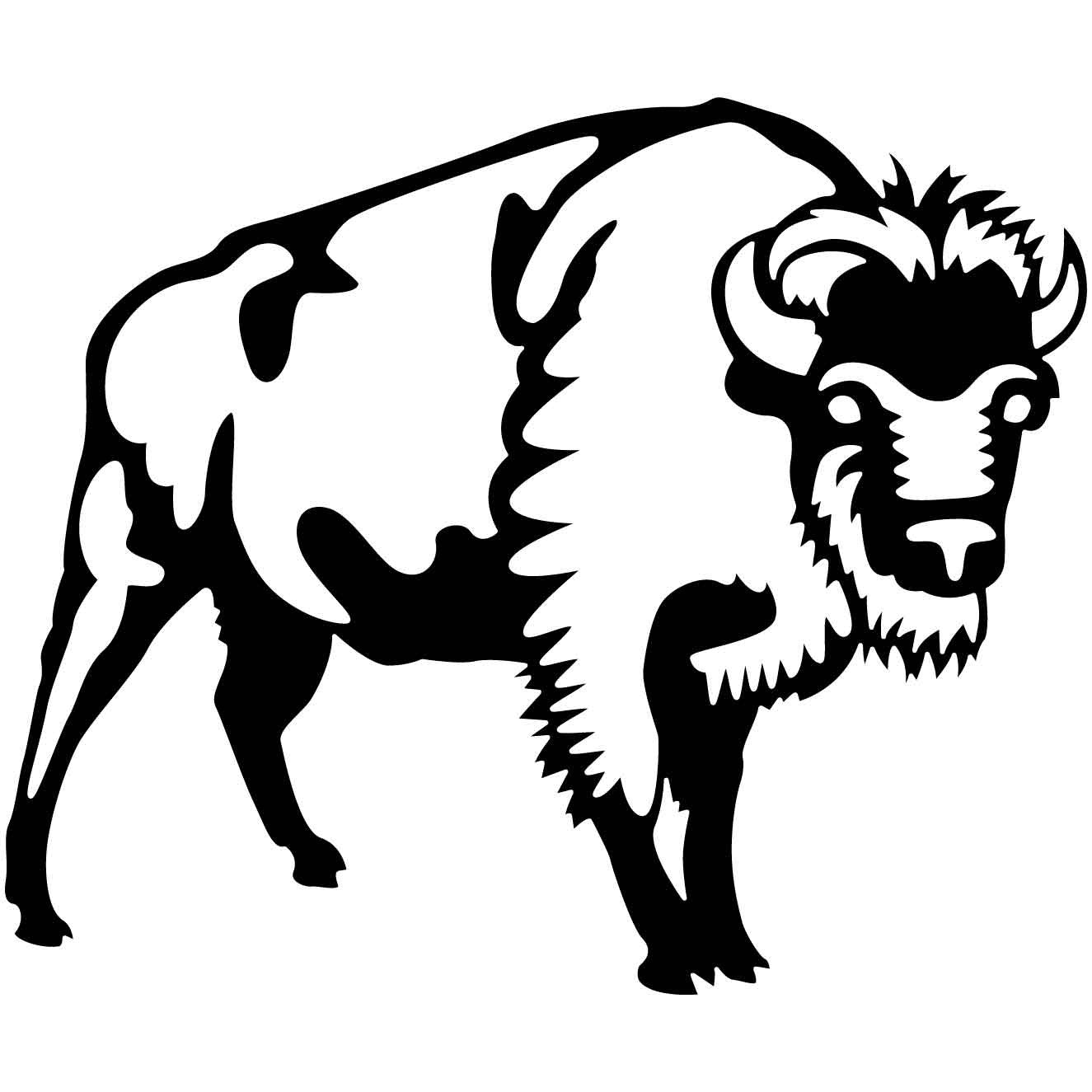 Bison 04