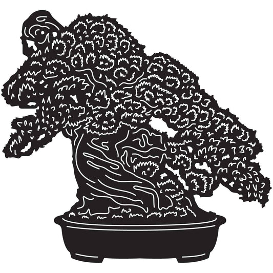 Bonsai Tree 17