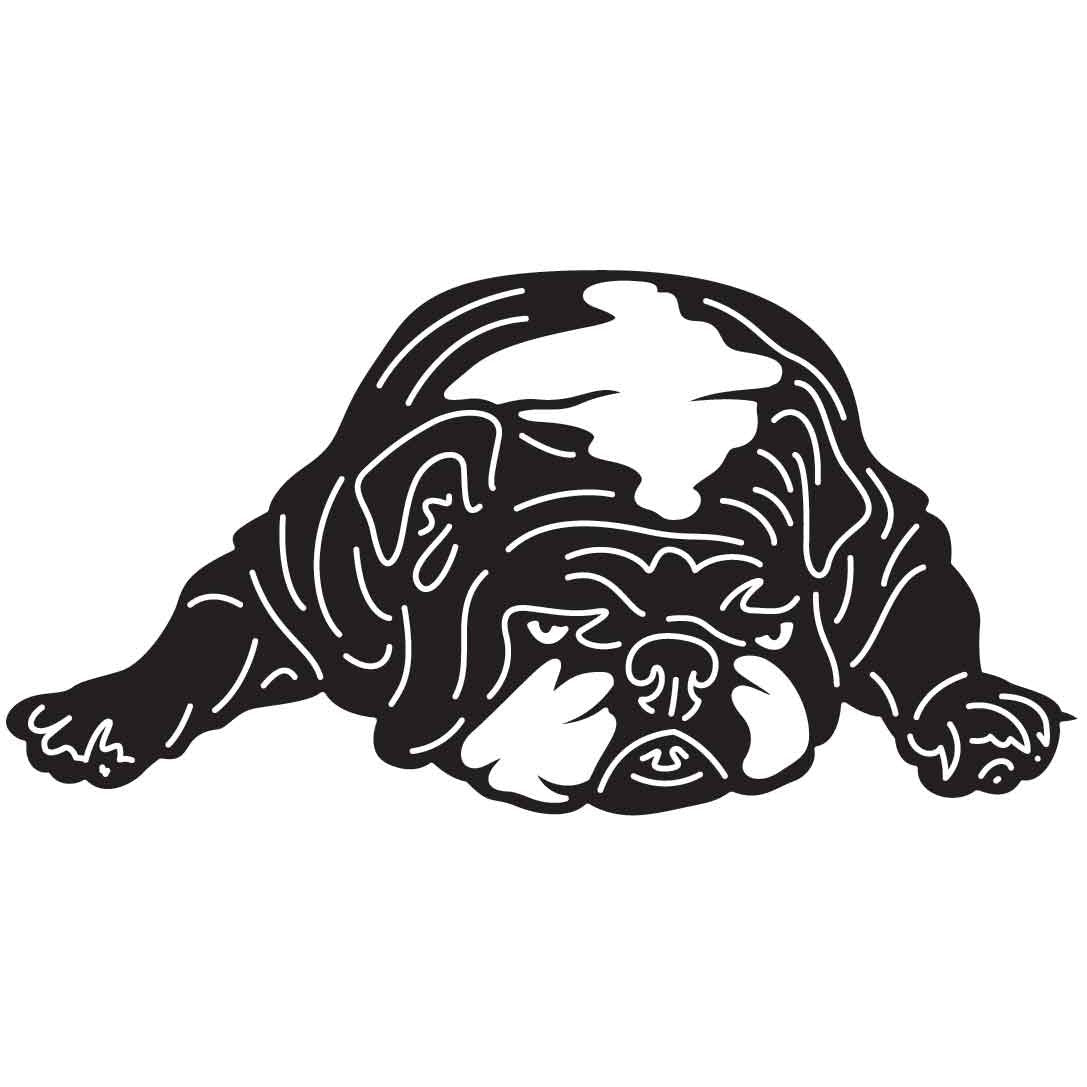 Bulldogs Dogs 25