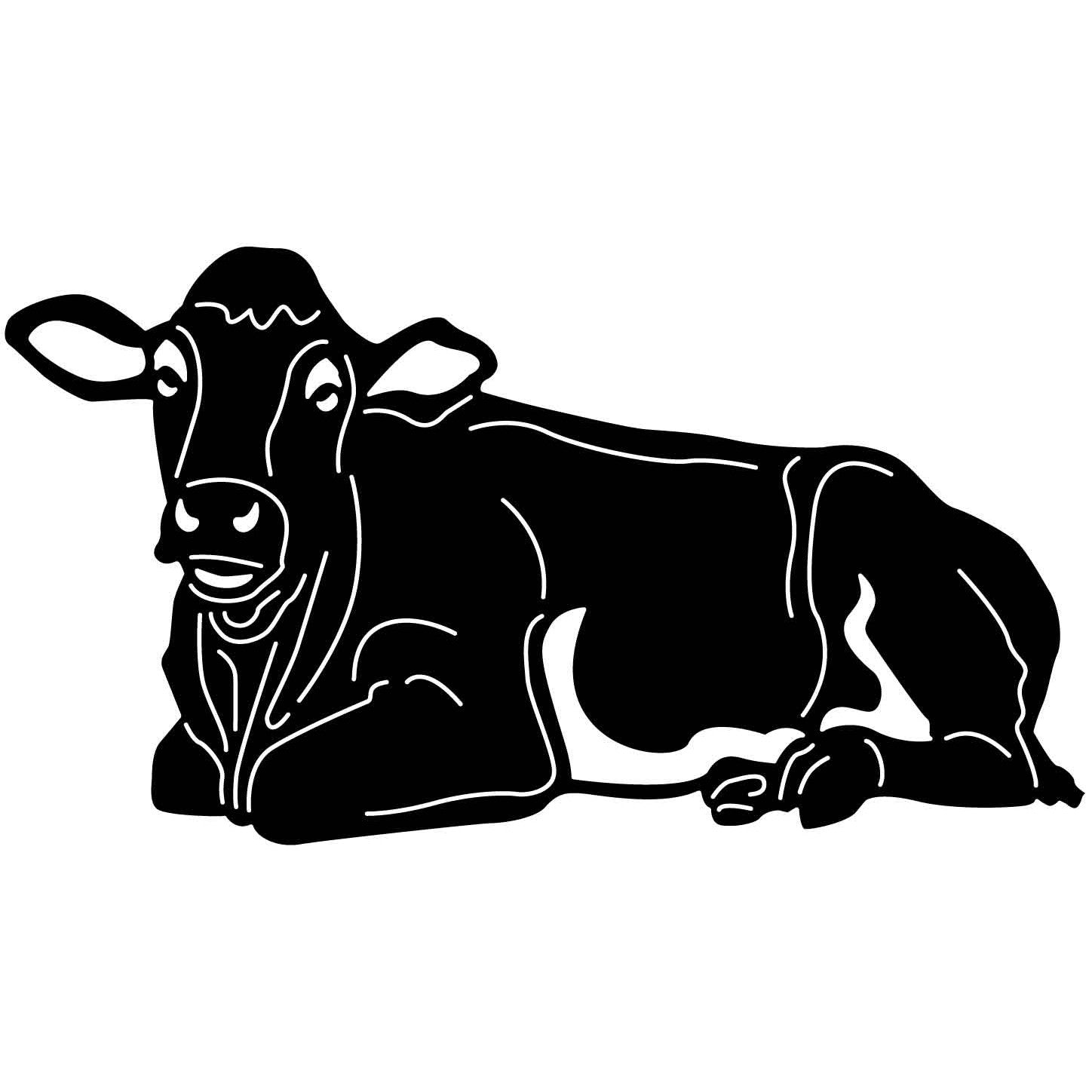 Bulls Longhorns Cows and Calves 14