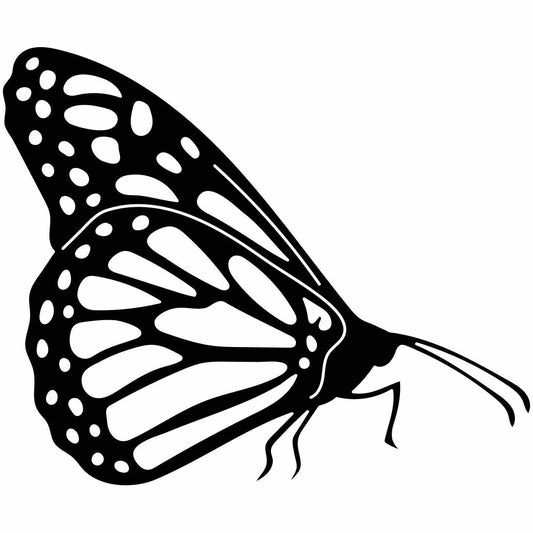 Butterfly Ornaments Decor Free-DXF files cut ready for CNC-DXFforCNC.com