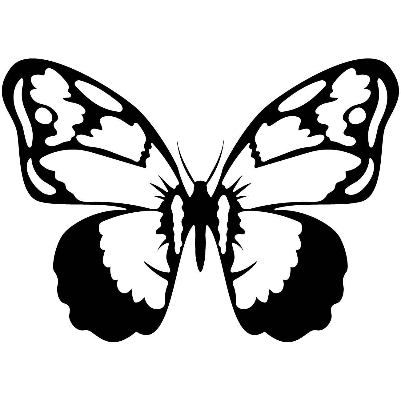 Butterfly 34