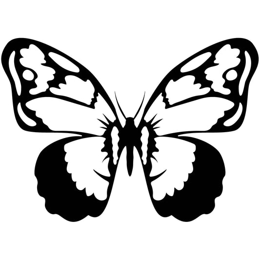 Butterfly 34