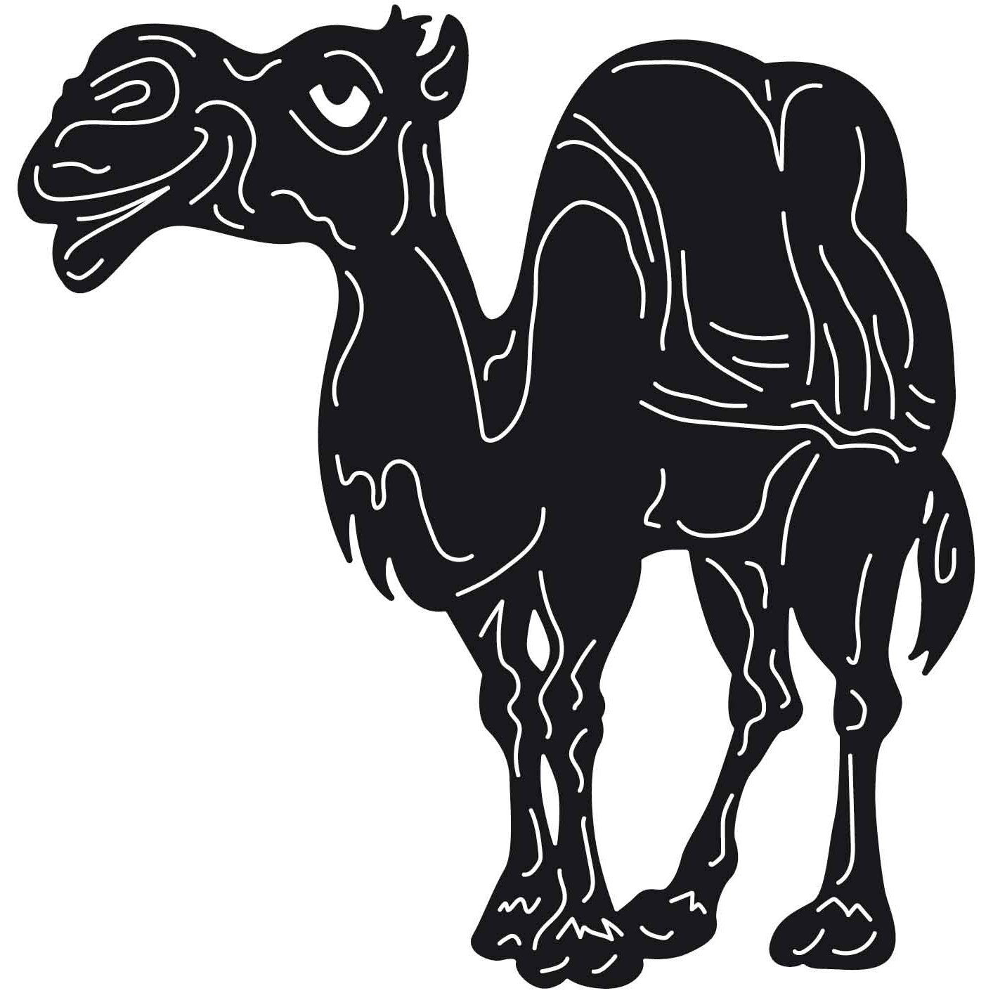 Camels 07