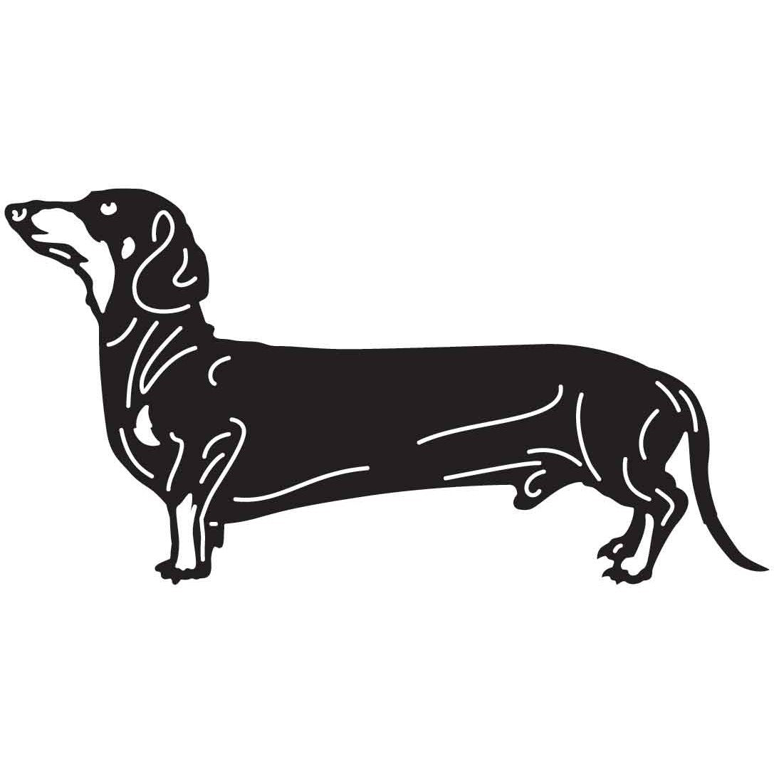 Dachshund Dogs 10