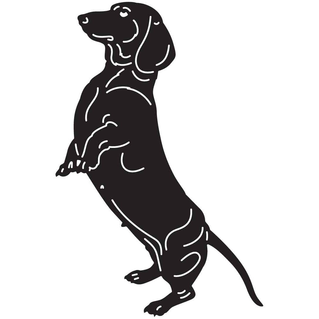 Dachshund Dogs 13