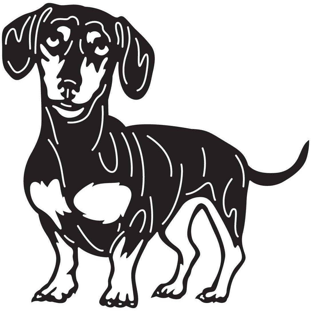 Dachshund Dogs 20