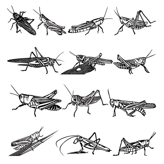 Grasshopper DXF Files for CNC Machines-DXFforCNC.com