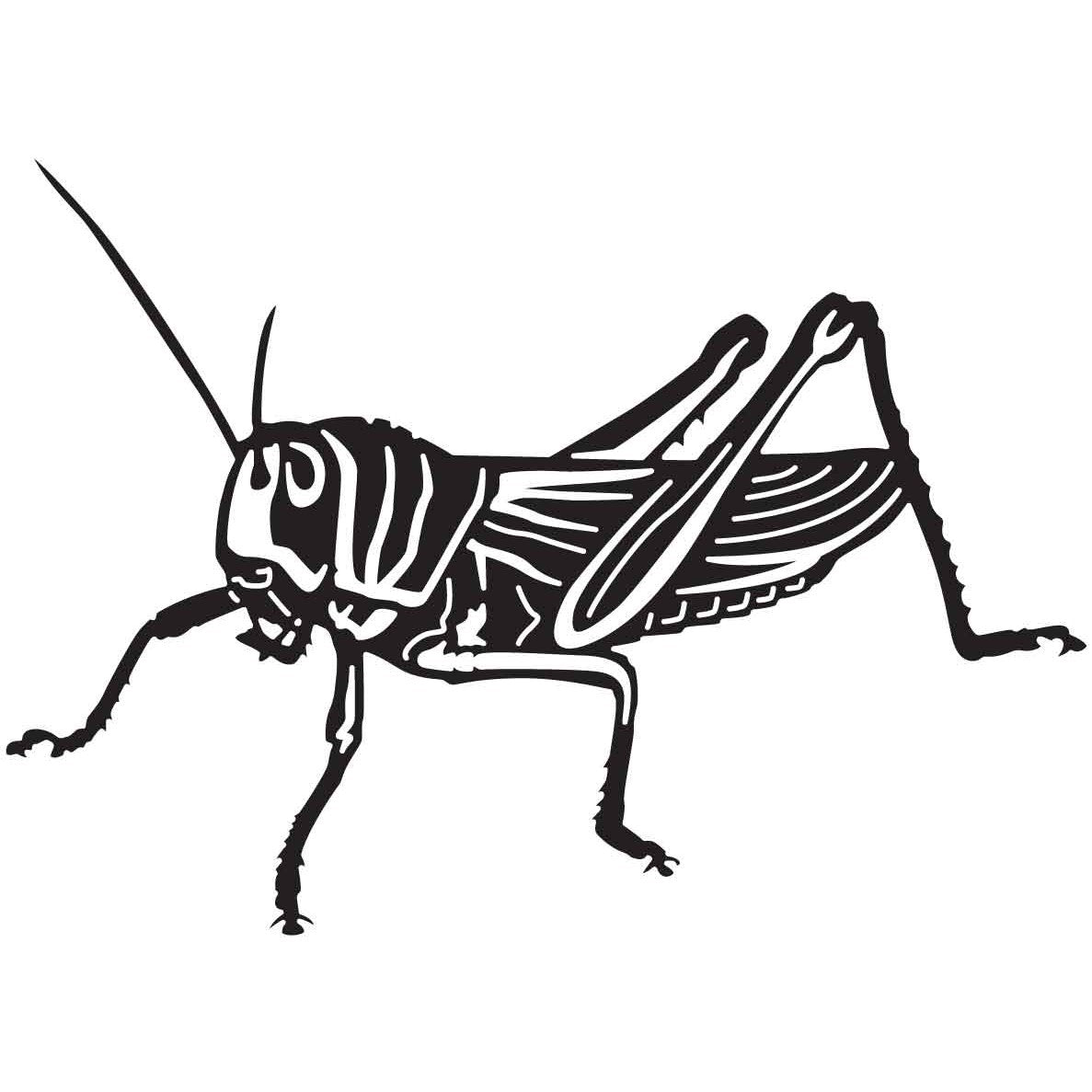 Grasshopper 01