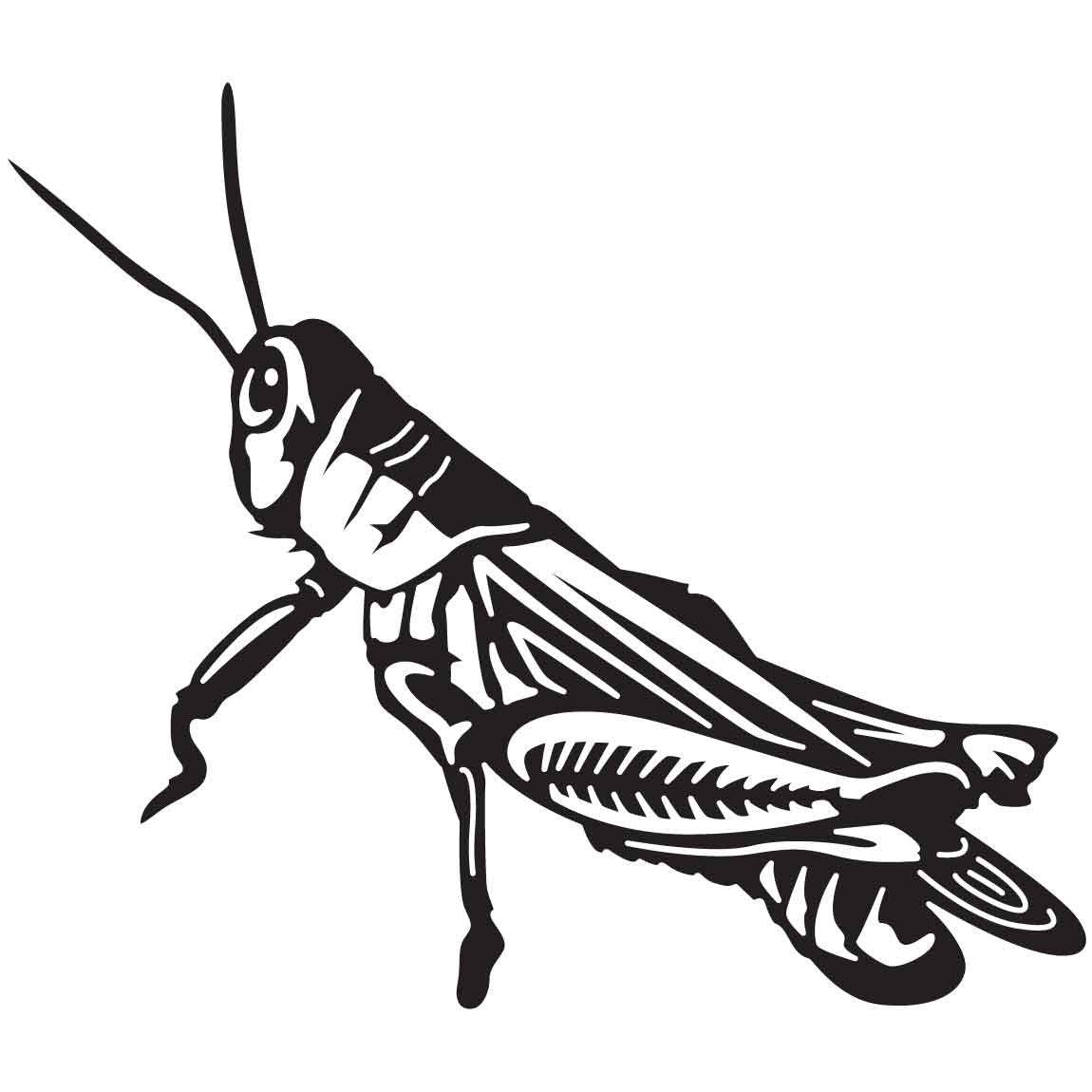 Grasshopper 05