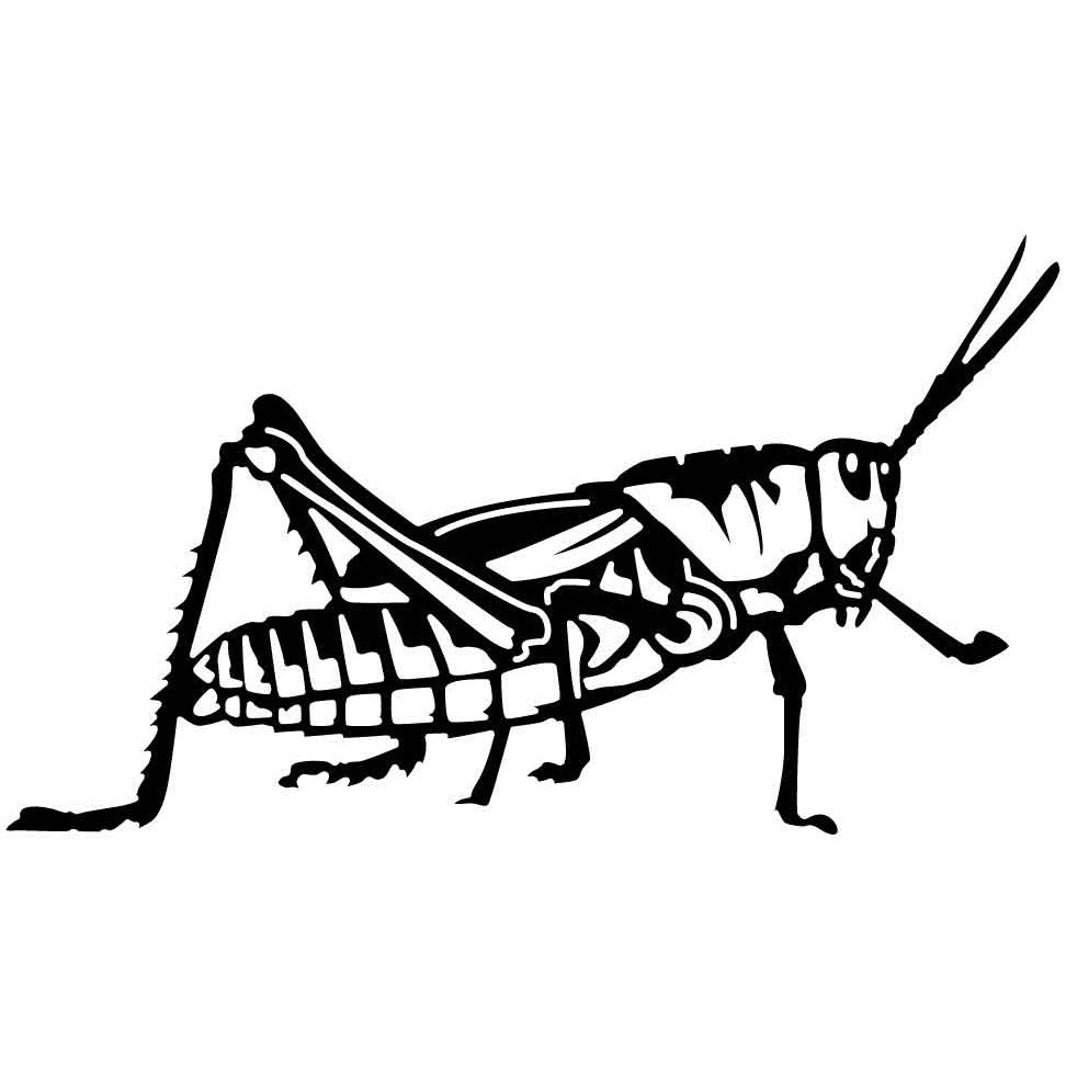 Grasshopper 08