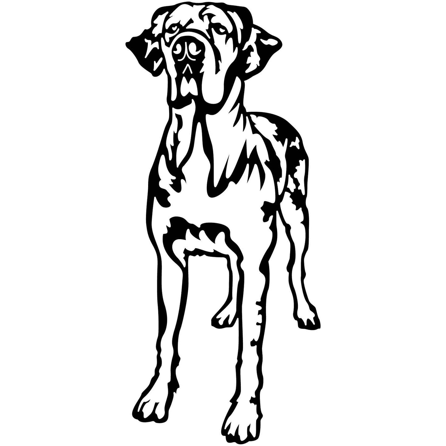 Great Dane Dogs 12