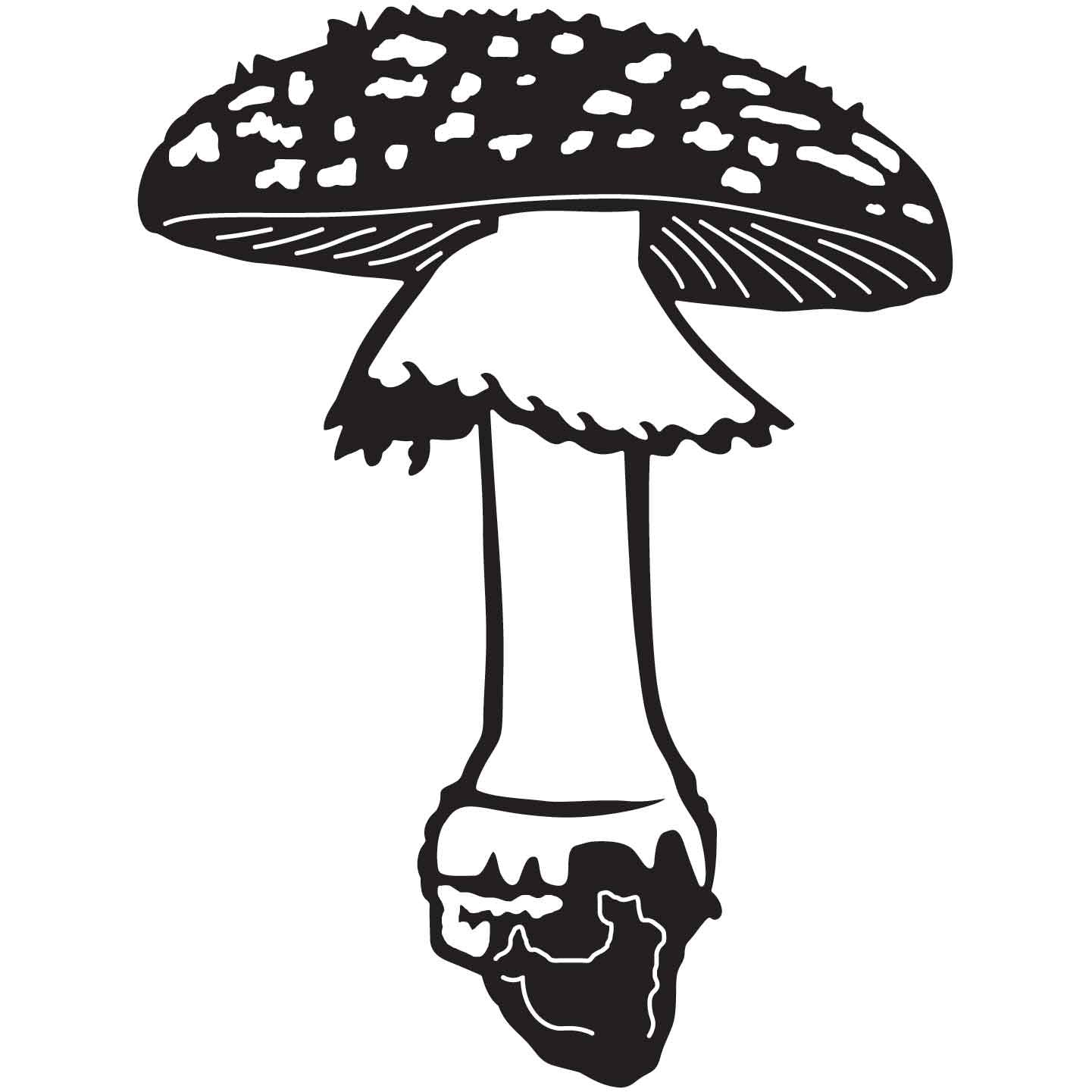 Mushroom 08