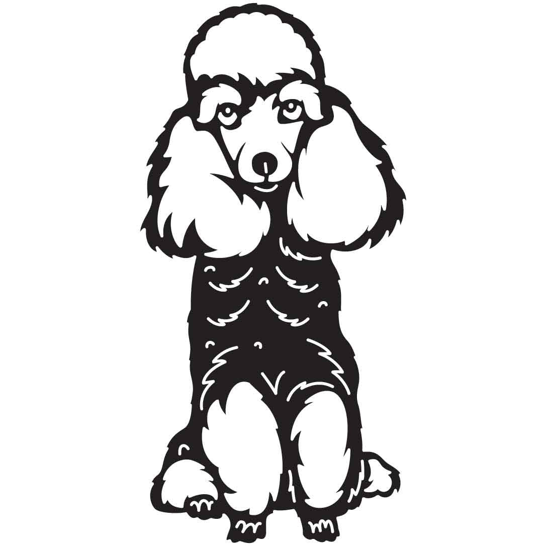 Poodles Dogs 02