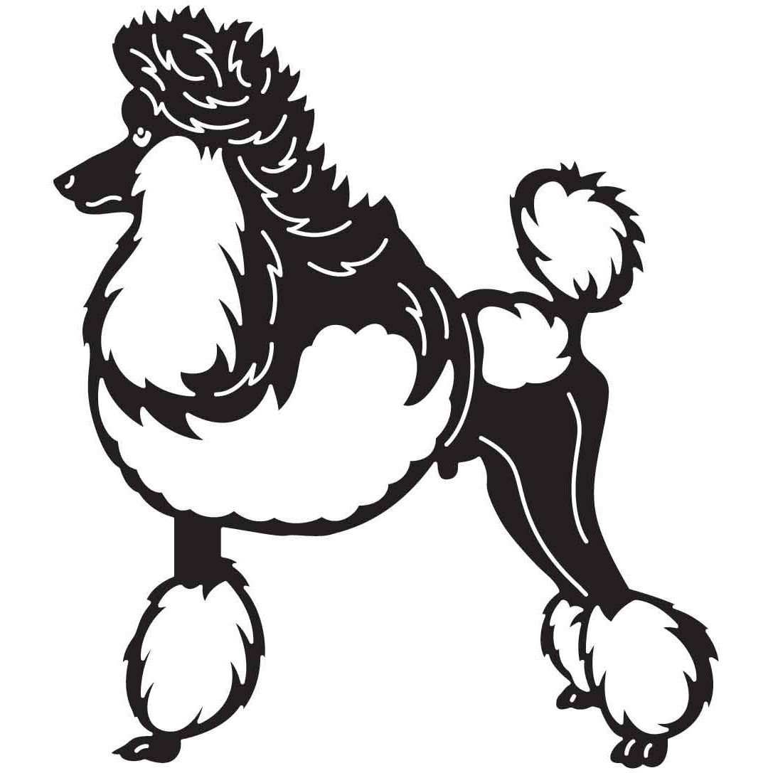 Poodles Dogs 06