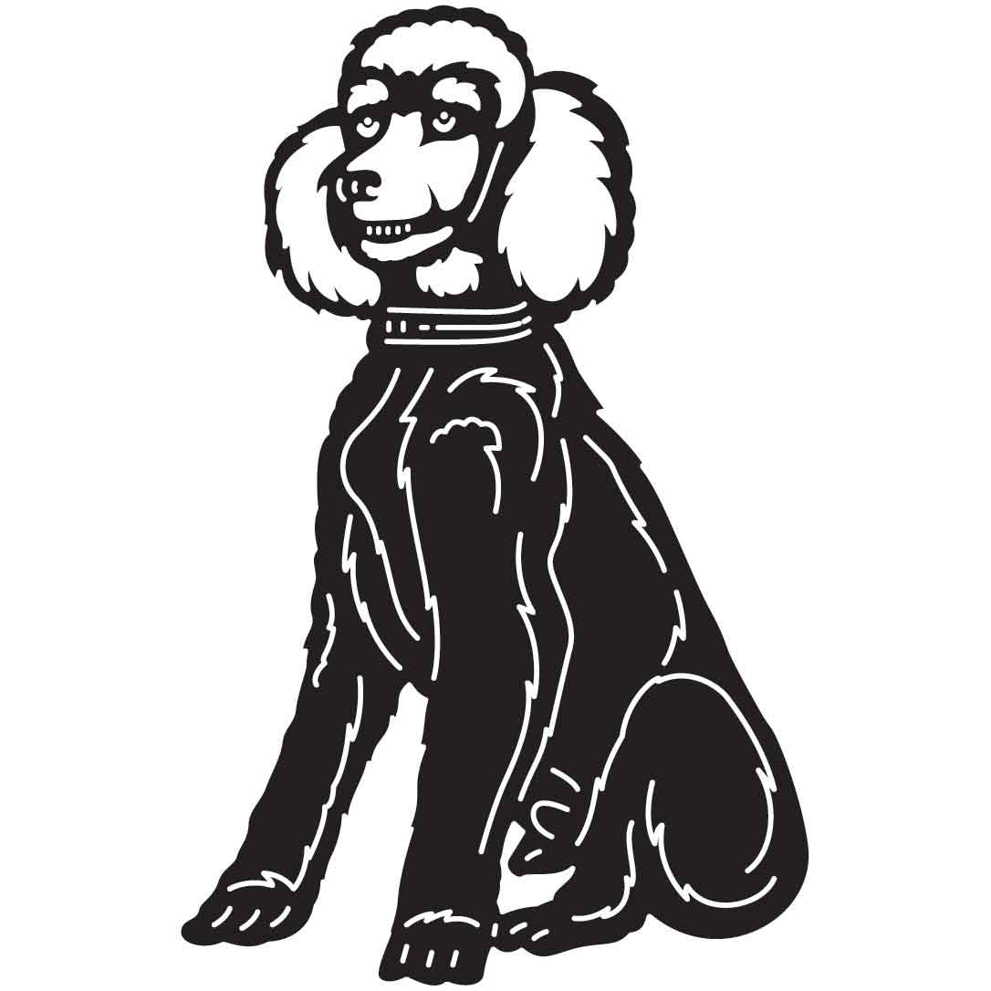 Poodles Dogs 19