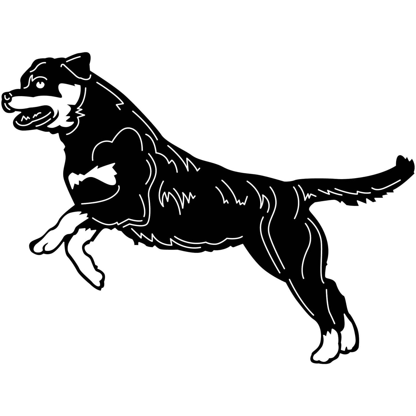 Rottweiler Dogs 10