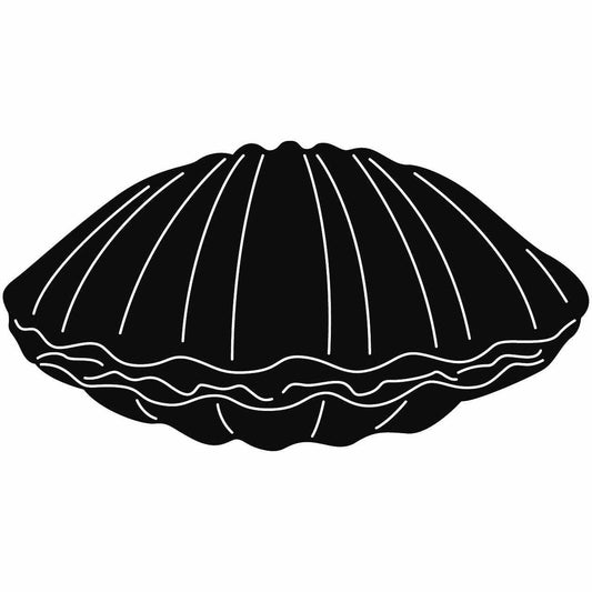 Seashell Free Dxf Files Free